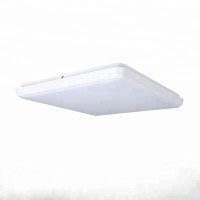 Square IP54 LED Ceiling Light ceiling light fixtures modern 32W/48W